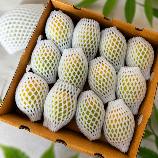 Alphonso Mango